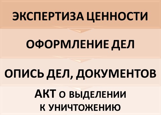 Семинар в режиме видеоконференцсвязи по вопросам экспертизы ценности документов 